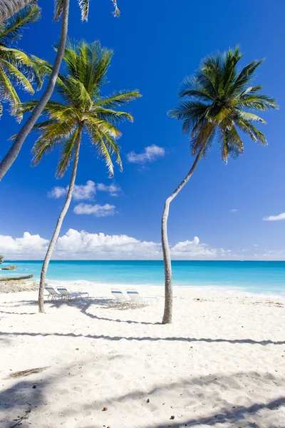 Bottom Bay, Barbados, Caribbean — Stock Photo, Image