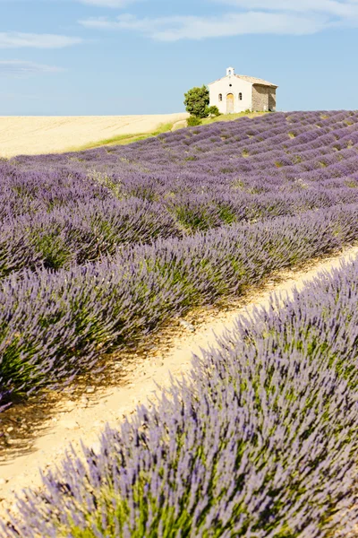 教堂与薰衣草田地、 高原 de valensole、 普罗旺斯，弗兰 — 图库照片