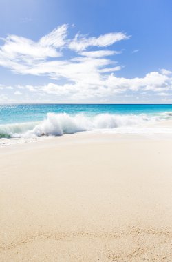 Bay, barbados, Karayipler faul