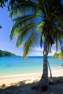 Parlatuvier Bay, Tobago