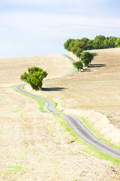 道路、gers 部、フランスとフィールド — ストック写真