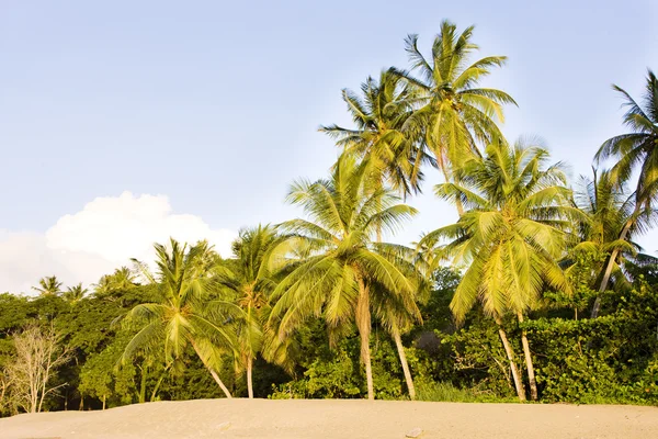 Turtle Beach, Tobago — Stock Photo, Image