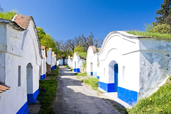 Wine cellars, Petrov - Plze, Czech Republic — Stock Photo, Image