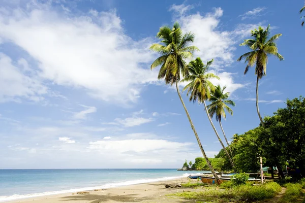 Foul Bay, Barbados, Karibik — Stockfoto