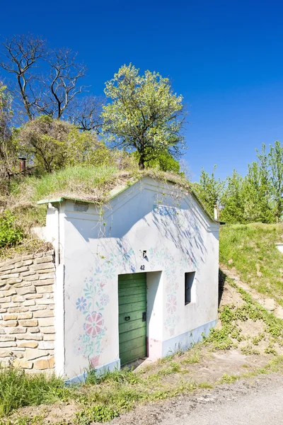 Wine cellar, Petrov - Plze, Czech Republic — Stock Photo, Image