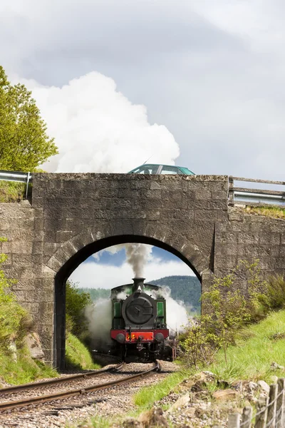 蒸気の鉄道、ストラスペイ鉄道、高地、スコットランド — ストック写真