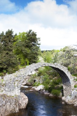 eski packhorse Köprüsü, carrbridge, yaylaları, İskoçya