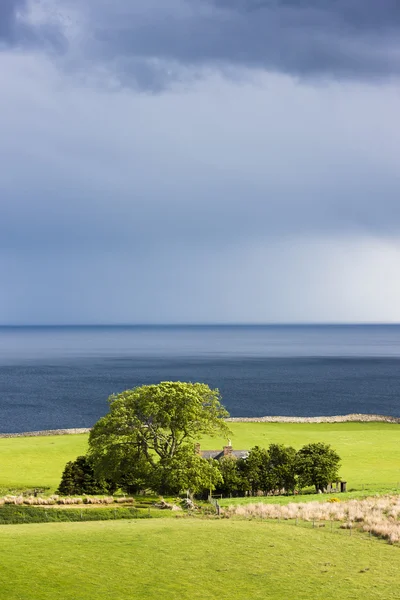 近くに crackaig、高地、スコットランドの羊のいる風景します。 — ストック写真