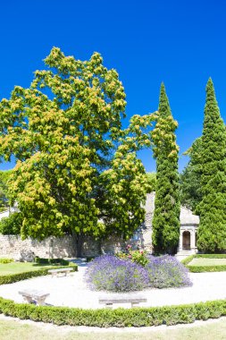 Bahçe les baux de-Provence, provence, Fransa