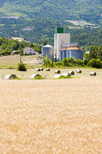 Field with straw bales, Drome Department, Rhone-Alpes, France — Stock Photo, Image