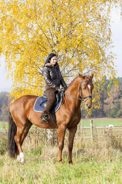 Equestrian on horseback in autumnal nature — Stock Photo, Image
