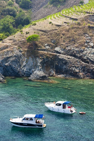 Cap de Peyrefite, Languedoc-Roussillon, Frankrike — Stockfoto