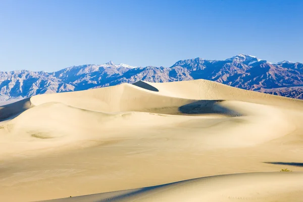 Stovepipe brunnar sanddyner, death valley nationalpark, californ — Stockfoto