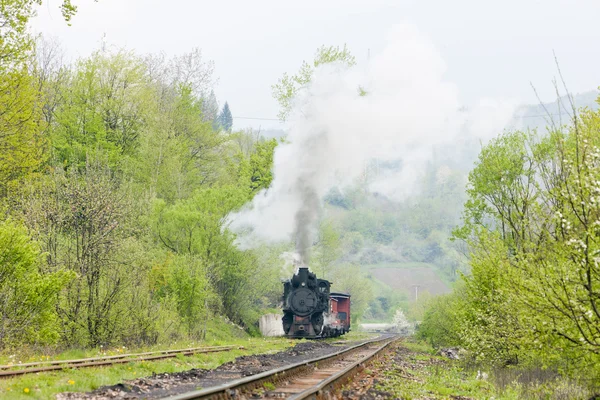 Schmalspurbahn, Banovici, Bosnien und Herzegowina — Stockfoto