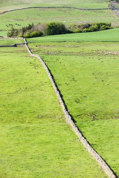 Hadrianus fala, Northumberland, Anglia — Stock Fotó