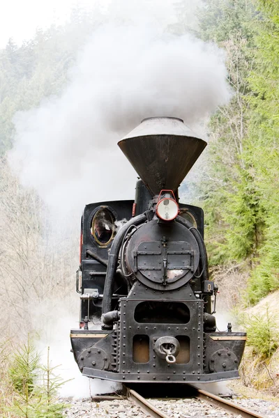 Locomotivă cu aburi, Ciernohronska Railway, Slovacia — Fotografie, imagine de stoc