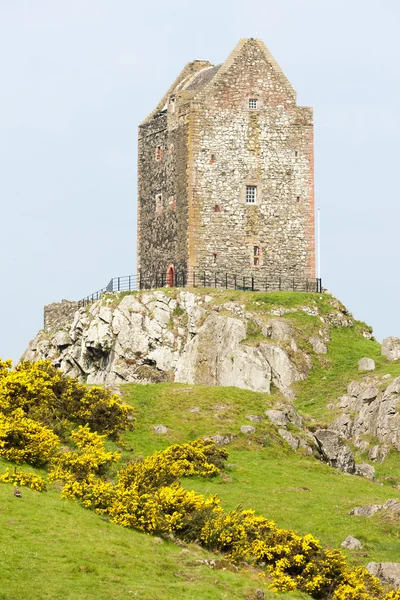 Smailholm башта біля Kelso, шотландські кордони, Шотландія — стокове фото