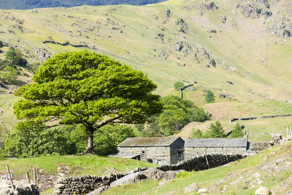 Landschap van lake district, cumbria, Engeland — Stockfoto