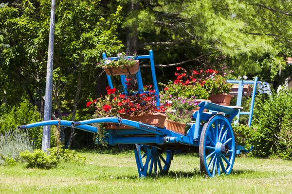 Vagn med blommor, saint-julien-en-beauchen, provence, Frankrike — Stockfoto