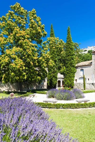 Ogród w les baux de provence, Prowansja, Francja — Zdjęcie stockowe