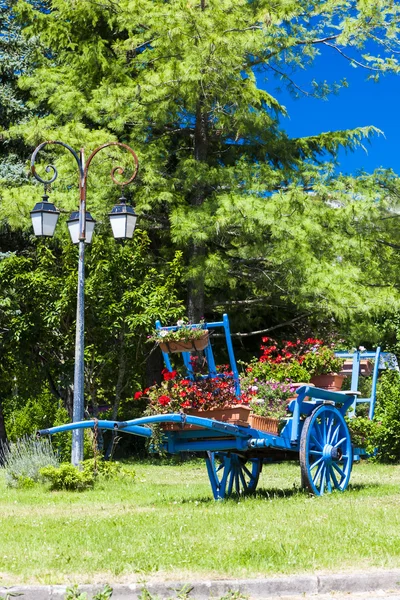 Kar met bloemen, saint-julien-nl-beauchen, provence, Frankrijk — Stockfoto