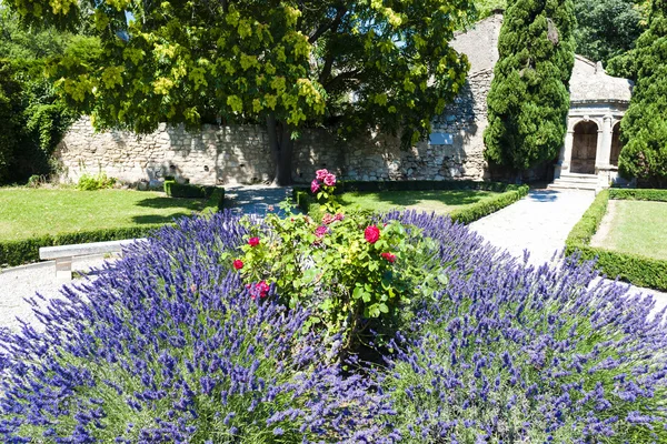 Trädgård i les baux de-provence, provence, Frankrike — Stockfoto