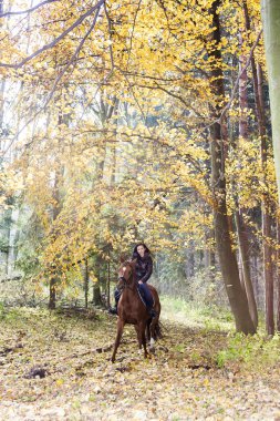 sonbahar doğa sırtında binicilik