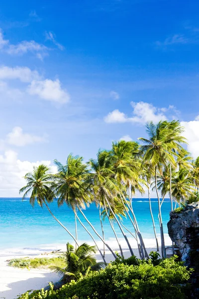 Bottom Bay, Barbados, Karayipler — Stok fotoğraf