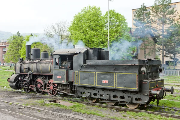 Ånga lokomotiv (126.014), resavica, Serbien — Stockfoto