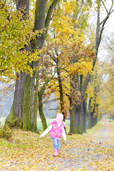 Klein meisje in herfst steegje — Stockfoto