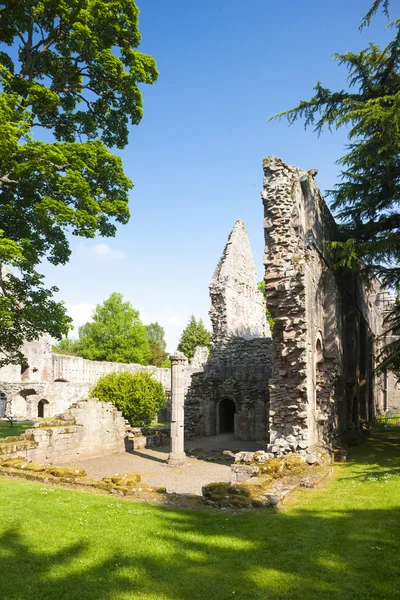 Rovine di Dryburgh Abbey, Scottish Borders, Scozia — Foto Stock