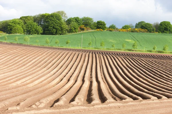 Paisagem com campo, Fife, Escócia — Fotografia de Stock