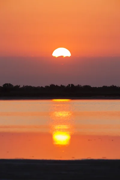 Napkelte-Camargue, Provence, Franciaország — Stock Fotó