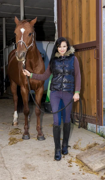 Ecuestre con su caballo en establo — Foto de Stock