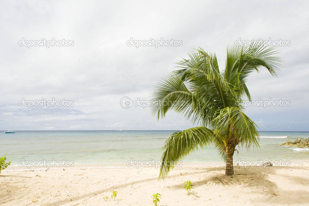 Six Men's Bay, Barbados