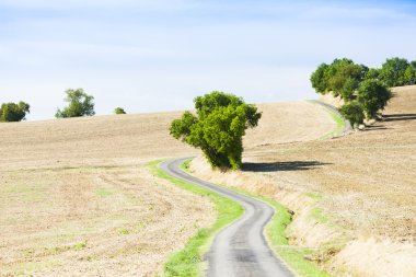 alan bir yol, gers departmanı, Fransa