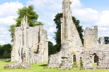kalıntıları bayham abbey, kent, İngiltere