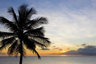 günbatımı yere denizinde, barbados
