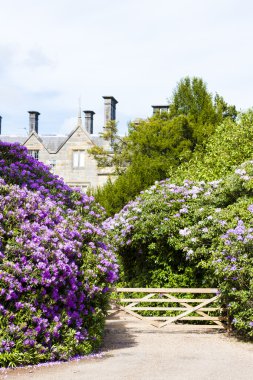 Scotney kale Bahçe, kent, İngiltere
