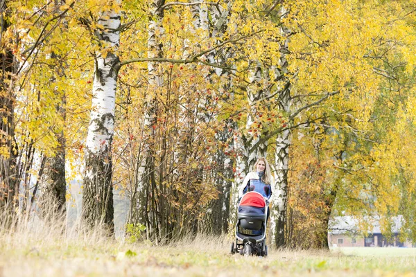 Vrouw met een kinderwagen op wandeling in de herfst natuur — Stockfoto