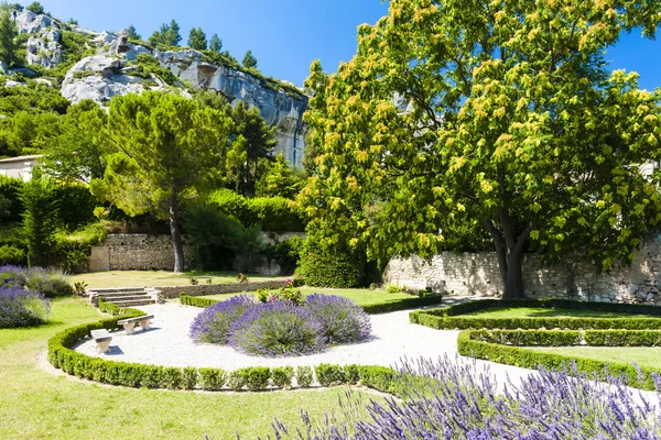 Zahrada v les baux de-provence, provence, Francie — Stock fotografie