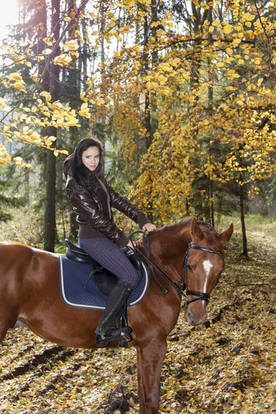Équitation à cheval dans la nature automnale — Photo