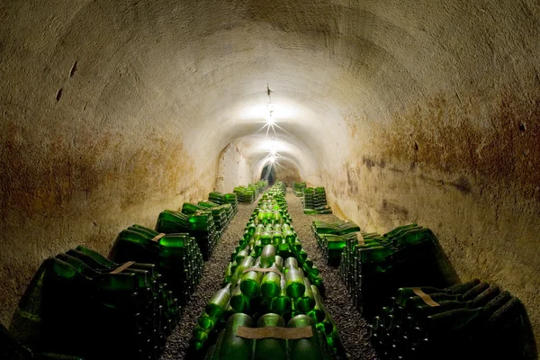 Wine archive, Hort Winery, Znojmo - Доббице, Чехия — стоковое фото