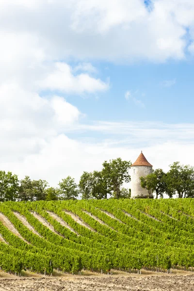 Vineyard with windmill near Ribagnac, Dordogne Department, Aquit — 图库照片