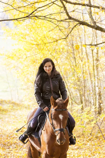 Jezdectví na koních v podzimní přírodě Royalty Free Stock Obrázky