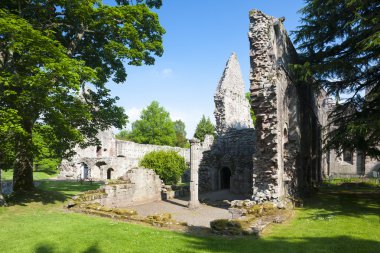 dryburgh abbey, scottish borders, İskoçya'nın