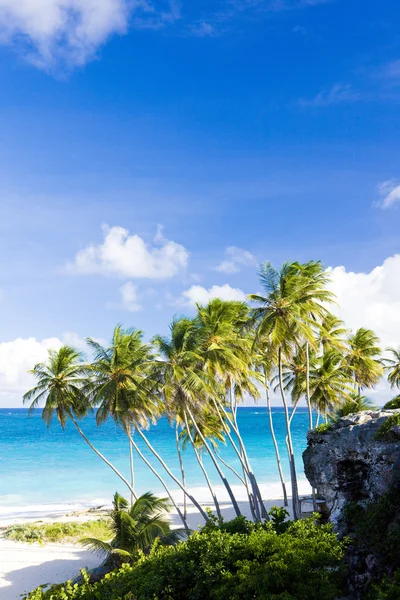 Bottom Bay, Barbados, Caribe — Fotografia de Stock