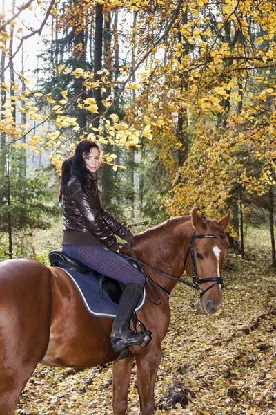 Equestrian on horseback in autumnal nature — Stock Photo, Image