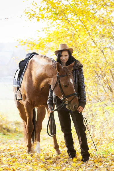 Equestre com seu cavalo na natureza outonal — Fotografia de Stock