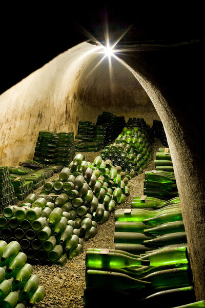 Wine archive, Hort Winery, Znojmo - Dobsice, Czech Republic